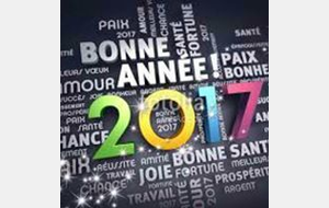 Bonne Année 2017