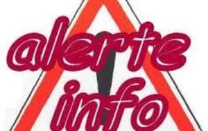 Recherche de joueuses séniors féminines