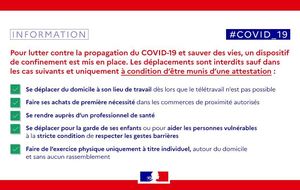 CONFINEMENT COVID_19 