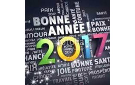 Bonne Année 2017