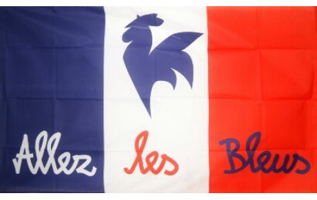 Coupe du monde de Handball, Finale France - Norvège 