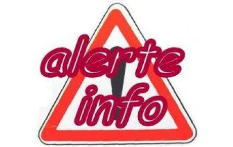 Recherche de joueuses séniors féminines