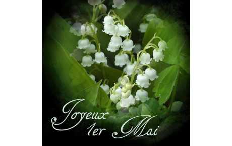 JOYEUX 1er MAI 